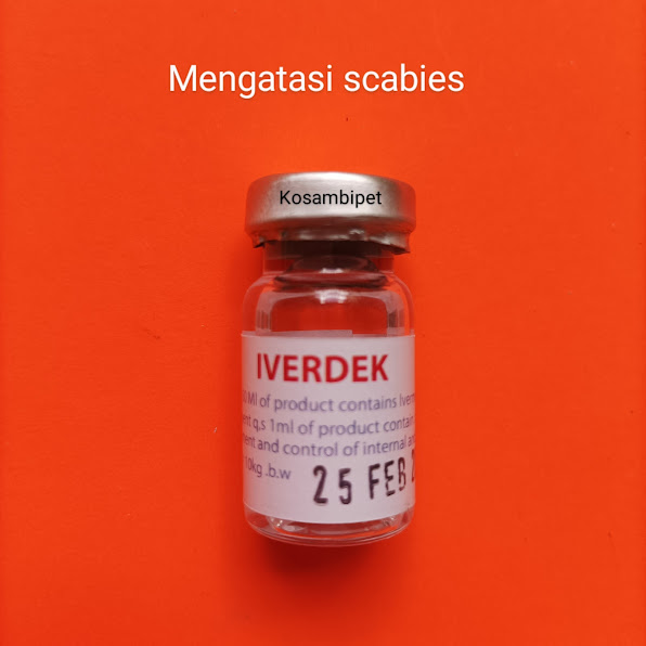 Iverdek ivermectin, mengatasi demodek dan scabies